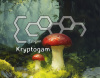 Cover von Ecogon: Kryptogam
